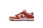 Nike SB Dunk Low Pro ‚Dark Russet‘ BQ6817-202 Wabasta store