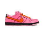 The Powerpuff Girls x Nike Dunk Low Pro SB QS ‚Blossom‘ FD2631-600