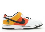 Nike SB Dunk Low Pro ‘Raygun Home’ 304292-802